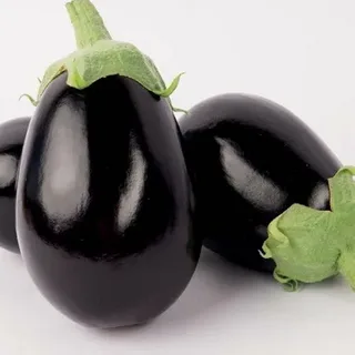 تصویر 2 از بهترین بادمجان دلمه ای صادراتی + قیمت خرید عالی